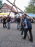 Maibaum 2009 158